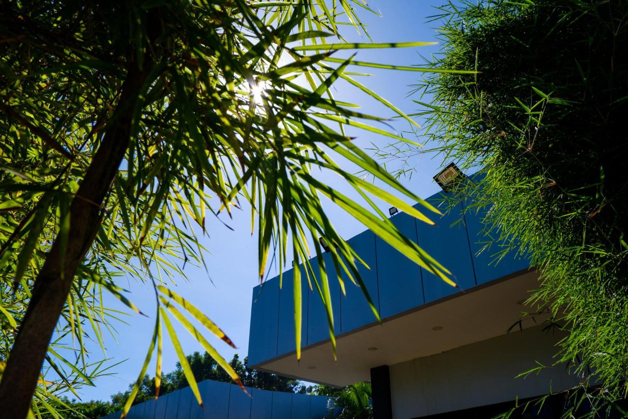 פנגלאו Casi Verde Guest House מראה חיצוני תמונה