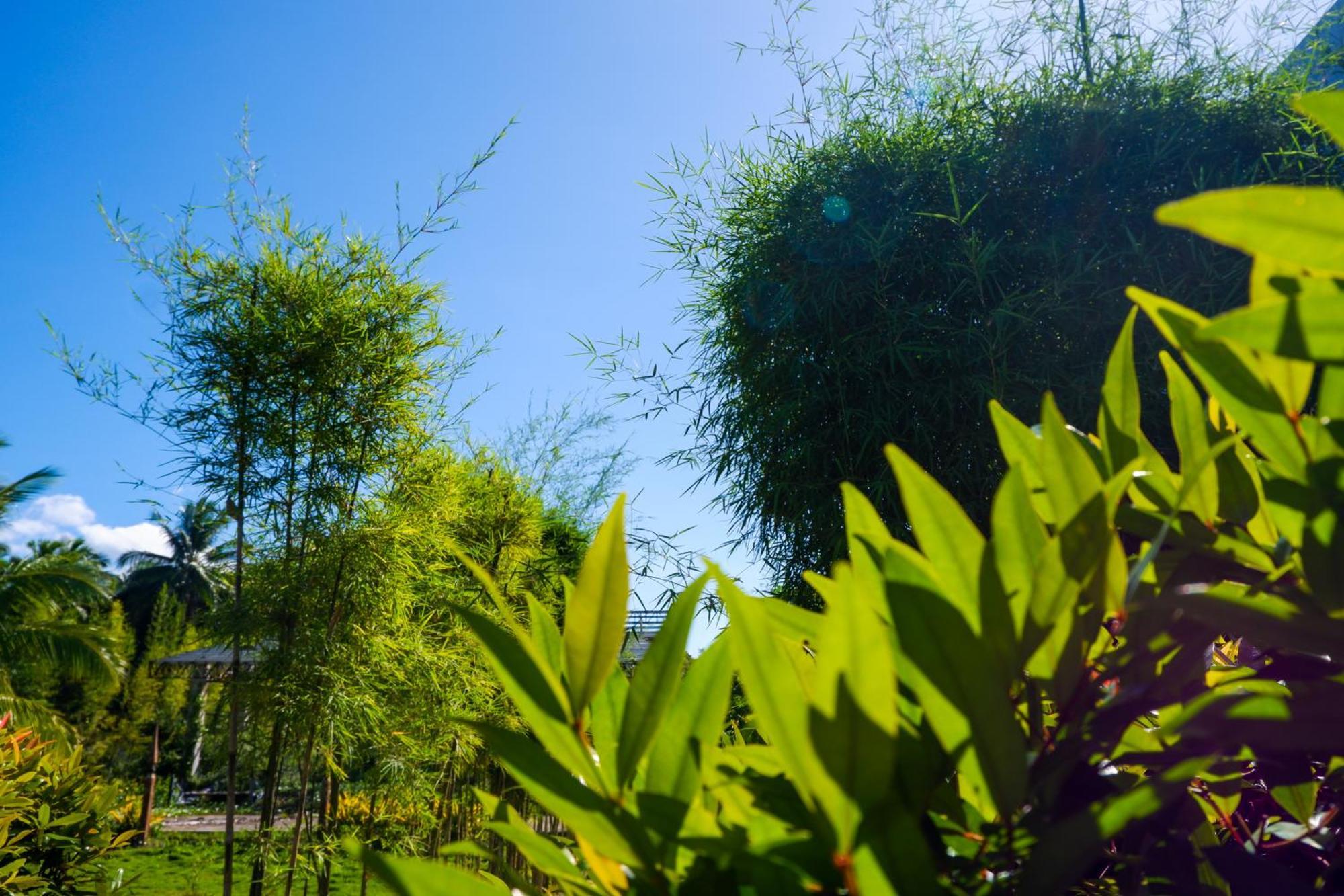 פנגלאו Casi Verde Guest House מראה חיצוני תמונה